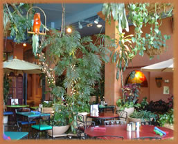 Top Restaurants In Tucson